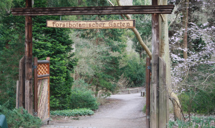 Stadtführung »Von der Festungsanlage zum Naturerlebnis – Der Forstbotanische Garten in Köln« Forstbonaischer Garten