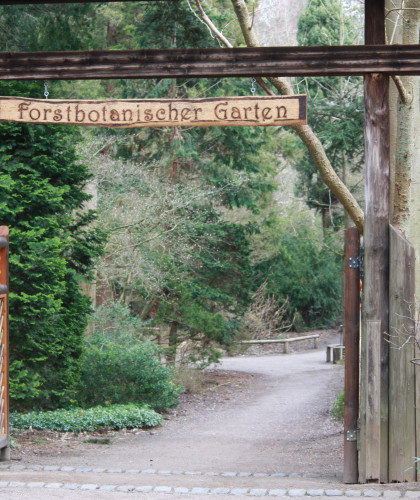 Stadtführung »Von der Festungsanlage zum Naturerlebnis – Der Forstbotanische Garten in Köln« Forstbonaischer Garten