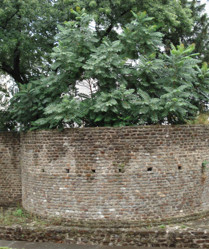 Stadtführung »Auf den Spuren der Römer in Köln« Römermauer Lysolphturm